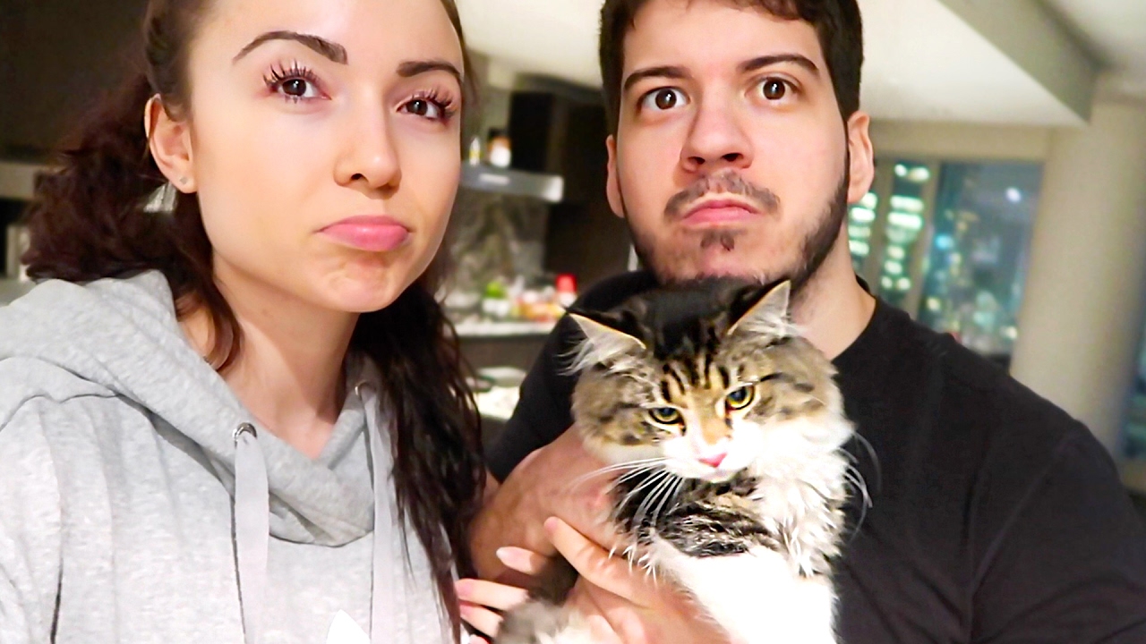 Our Kitten Is Sick Youtube