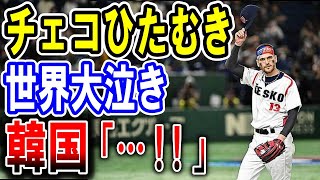 【海外の反応】WBC・隣国だけ逆反応？侍ジャパン!!世界が大泣き!!日本に敬意を持って挑んだチェコのひたむきな勇姿と大谷選手がチェコに示した最大限の敬意【ゆっくり解説】