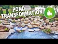 POND TRANSFORMATION: It Has Everything! - REVEAL