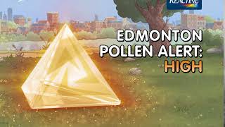 Reactine Pollen Alert Edmonton – High