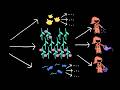 Games and modularity | Intro to CS - Python | Khan Academy