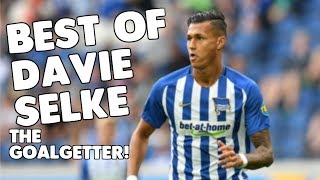 Best of Davie Selke! | The Goalgetter! (HD) | Hertha BSC