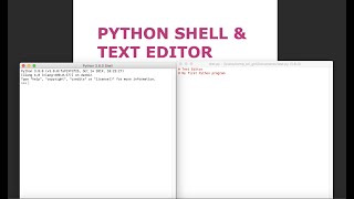 Python Basics: Download Python/What is the Shell & Text Editor?