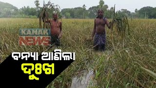 Flood Has Destroyed Crops In Jajpur's Bari, Reaction Of Farmers