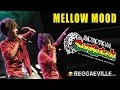 Mellow Mood & Friends @ Rototom Sunsplash 2014 [8/18/2014]