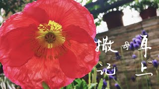 台北611晨禱｜撒母耳記上 第16章｜戴志行牧師｜20210402