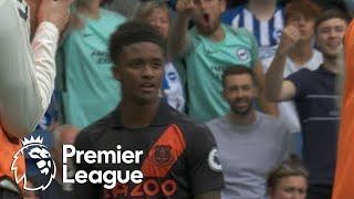Demarai Gray strikes first for Everton against Brighton | Premier League | NBC Sports