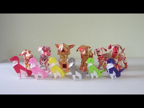Year of the Doggies Year of the Doggies