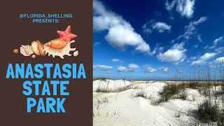 Exploring 300 YEAR OLD Spanish Coquina Quarries at a Historic Site in St. Augustine Beach, Florida