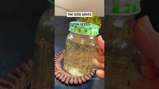 जीरे का पानी | cumin seeds water | the seed series | summer coolers