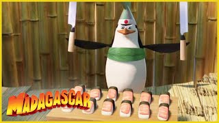 DreamWorks Madagascar en Español | Los Pingüinos Compilación | Dibujos Animados para Niños