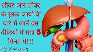 Liver and it's main Functions!!!!