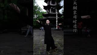 【二十四式太极拳】第五、六式|||【二十四式太极拳】第五、六式：手挥琵琶、倒卷肱太极拳 #太极拳#教学 #太极# #武术##传统文化# #传统文化#薯你有料 #传统武术#