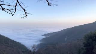 Banco di nebbia Caligo ligure