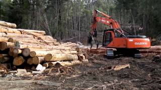 Debark Eucalyptus logs with excavator grab