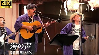 4K【LIVE】「海の声」島袋優 (BEGIN) ／ ”最高!! 激レア!! 渋谷 金王八幡宮例大祭 奉納ライブ では8年ぶり「海の声」を披露” au CMソング 浦島太郎（桐谷健太）