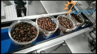 Aggraffatrice per lattine di caffè in grani, aggraffatrice automatica per lattine FLV30 (2021)