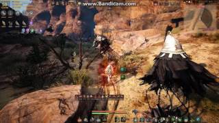 黒い砂漠 三日月神殿 通常狩り BlackDesert Ranger normal farm