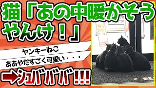 【2ch動物スレ】猫「おっ、あの中暖かそうやんけ！｣ｼｭﾊﾞﾊﾞﾊﾞ