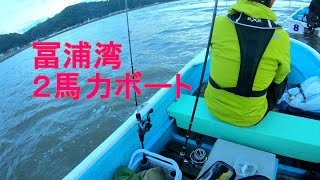 20241012 冨浦湾ボート釣り