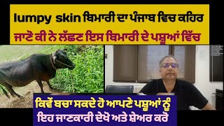 lumpy skin ਬਿਮਾਰੀ ਦਾ ਪੰਜਾਬ ਵਿੱਚ ਕਹਿਰ ,ਕਿਵੇਂ ਫੈਲਦੀ ਹੈ ਇਹ ਬਿਮਾਰੀ ਪਸ਼ੂਆਂ ਵਿੱਚ  , ਜਾਣੋ ਲੱਛਣ ਅਤੇ ਇਲਾਜ