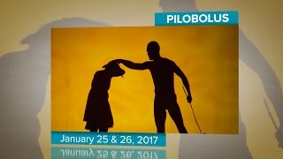 Shadowland by Pilobolus