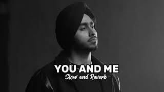 You and Me ( Slowed + Reverb ) Shubh