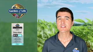 Dr Formulated CBD by Garden of Life