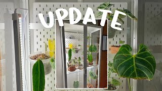 IKEA Greenhouse Update! Adding lil shelves, + making it better hehe