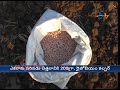 summer groundnut management for telangana