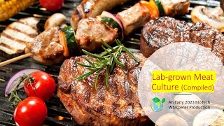 Lab-grown Meat Culture Explained (Compiled)
