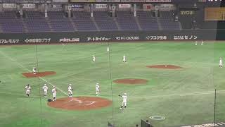 福岡大学 シートノック（第67回 全日本大学野球選手権大会_180612）Fukuoka University Fielding Practice