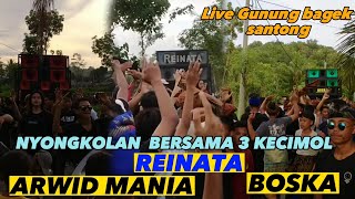 Full Nyongkolan Bersama 3 Kecimol Ternama \u0026 Satu GB| Reinata05 | Boska | Arwid | Live Santong,Terara