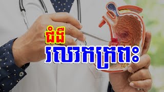 ជំងឺរលាកក្រពះ | Gastritis