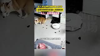 狗狗故意在扫地机器人旁边拉屎，结果……