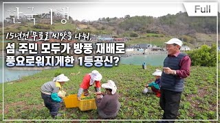 [Full] 한국기행 - 봄은 맛있다  4부 둔병도의 봄