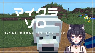 Minecraft気圧に負け気味のためゆったりまったり② -#22-