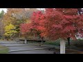 慧日寺の紅葉 磐梯町）