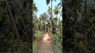 Hidden hanging bridge of Honnavara #youtube #youtubeshorts #trending #viral #reels #explore