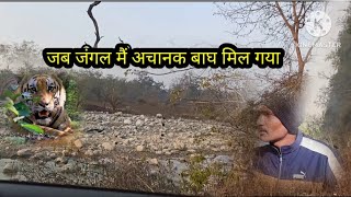 kyari village जब अचानक जंगल मैं मिला बाघ | kyari village tiger attack | Tiger story