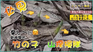 2023年4月23日 必見‼️竹の子山探検、探索のワンポイント　さとサン撮影の動画。＃根曲り竹＃青森＃山菜採り＃新規開拓