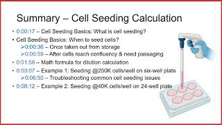Cell seeding calculation