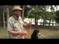 Wildrose Retriever Training Tips: Using a Lead in the Blind