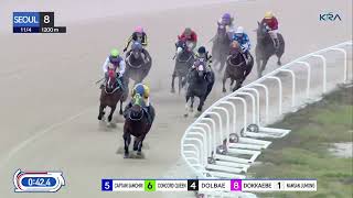 (Seoul) 2023.11.04 R8 Class 4 (1200M) Handicap