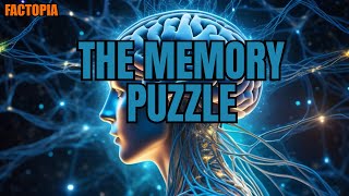 Unraveling the Mysteries of Memory | Secrets of Memory Exploration