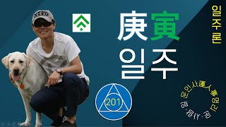 201. (wayup) 일주론-경인일주