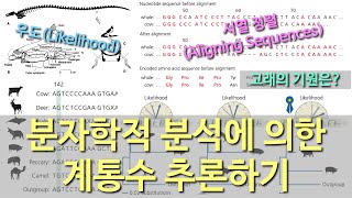 [진화론 이해하기] #12. 계통수(Evolutionary Tree) 추론하기 (3): 분자학적 분석