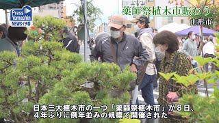 薬師祭植木市賑わう