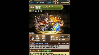 【パズドラ】新フェス限のサツキとカンナを求めてゴッドフェス前半を5回やってみた！【ガチャ動画】