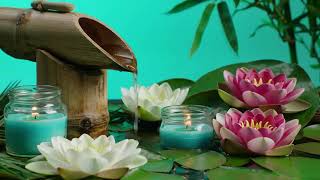 Escape Reality: 2 Hour of Pure Bliss with Japanese Zen Spa Music 🧘‍♀️